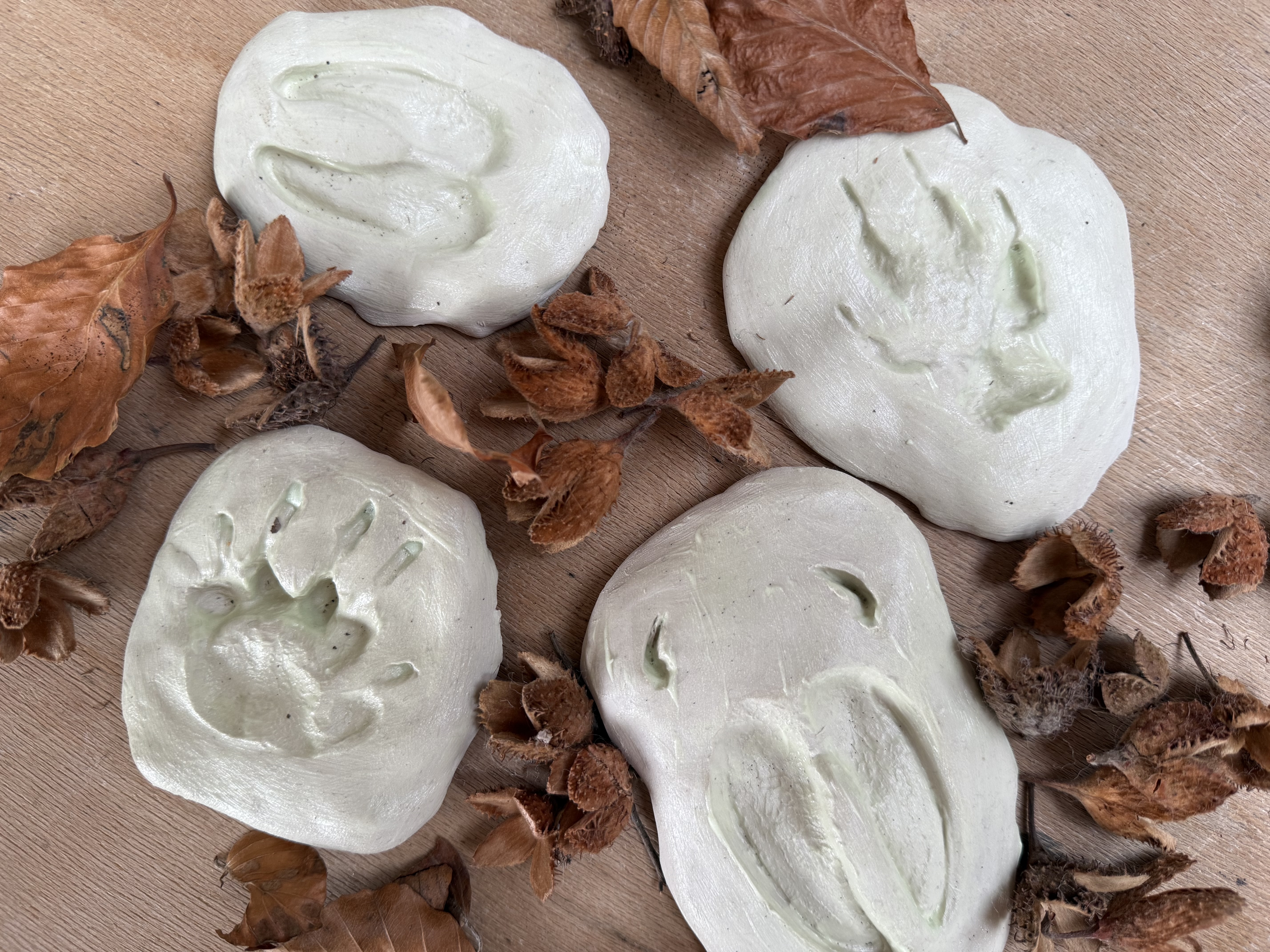 Winter-Werkstatt "Tierspuren aus Ton selbst gestalten"